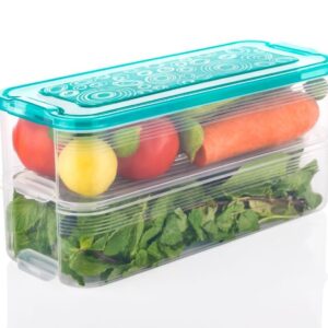 2 Layer Interlocking Fridge Container